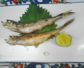 Shishamo