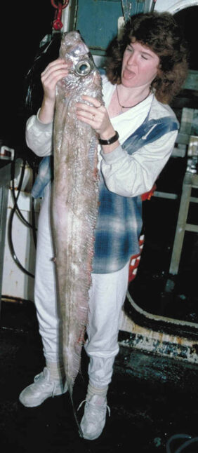 King-of-the-salmon