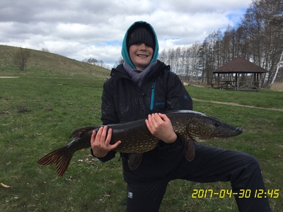 Northern Pike