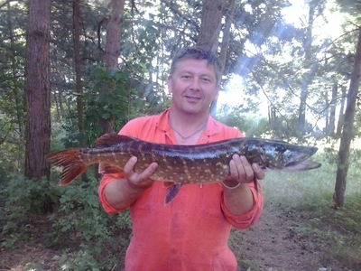 Northern Pike