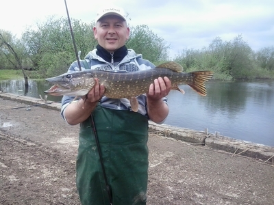 Northern Pike