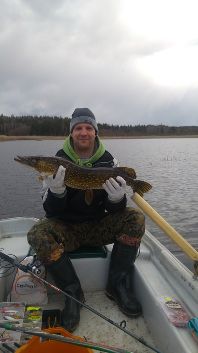 Northern Pike