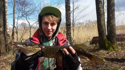 Northern Pike