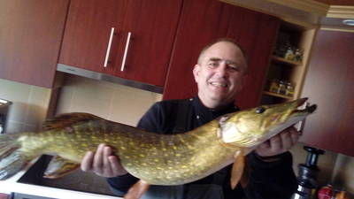 Northern Pike