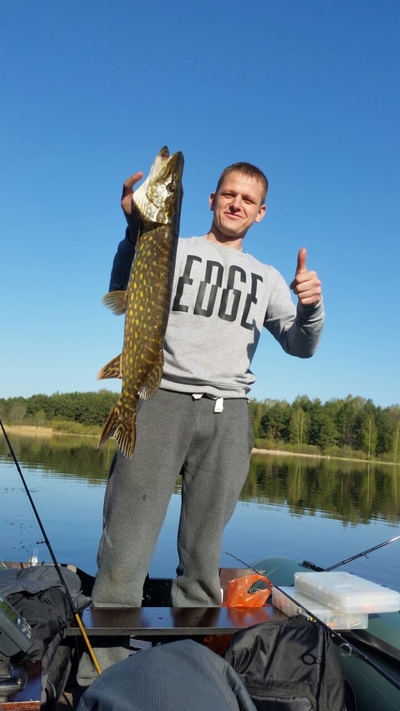 Northern Pike