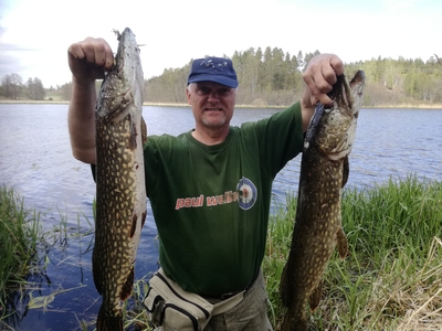 Northern Pike