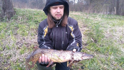 Northern Pike