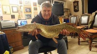 Northern Pike