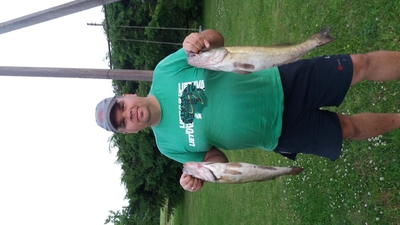 Pike perch