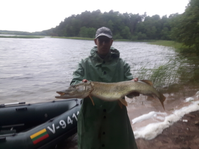 Northern Pike