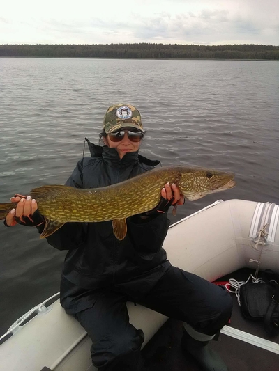 Northern Pike
