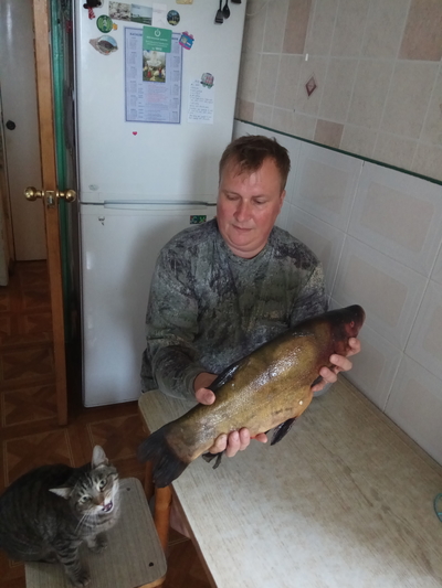 Tench