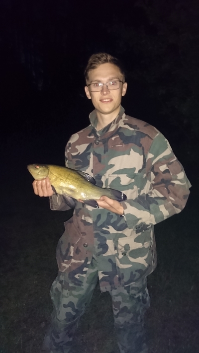 Tench