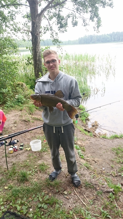 Tench