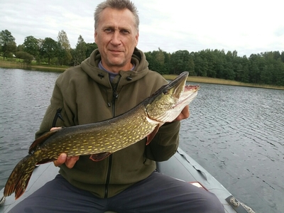 Northern Pike