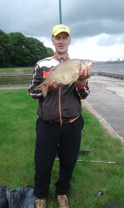Carp bream