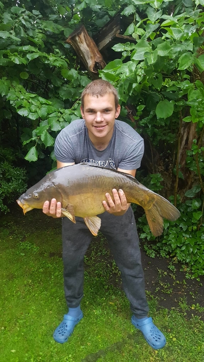 Mirror carp
