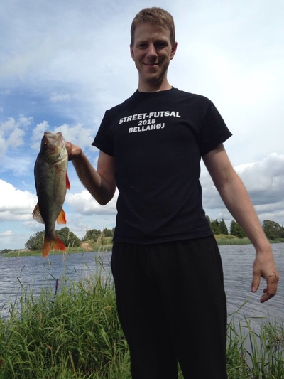 Eurasian perch