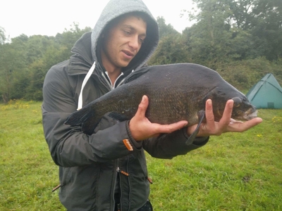 Carp bream