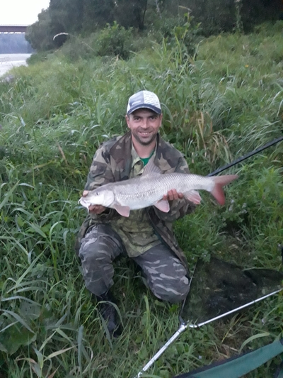 Barbel