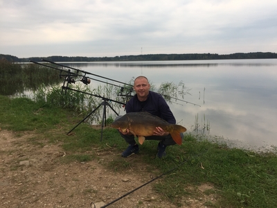 Mirror carp