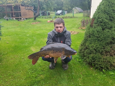 Mirror carp