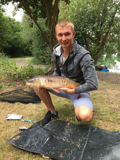 Mirror carp
