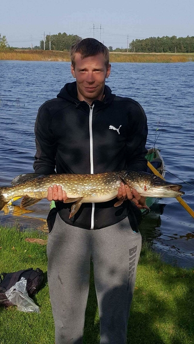 Northern Pike