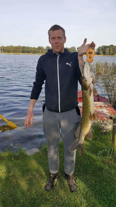 Northern Pike