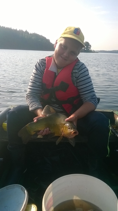 Tench
