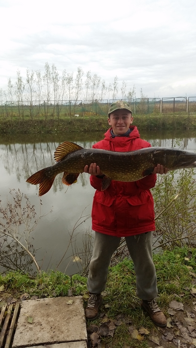 Northern Pike