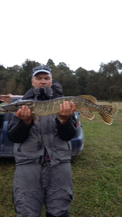 Northern Pike