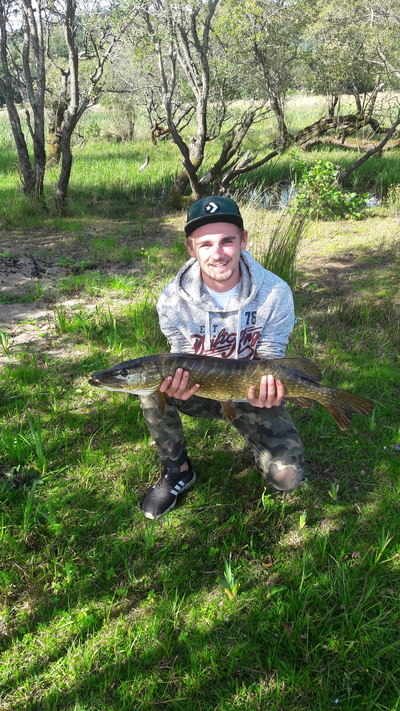 Northern Pike