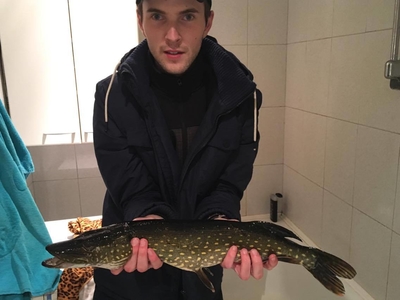Northern Pike