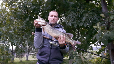 Northern Pike
