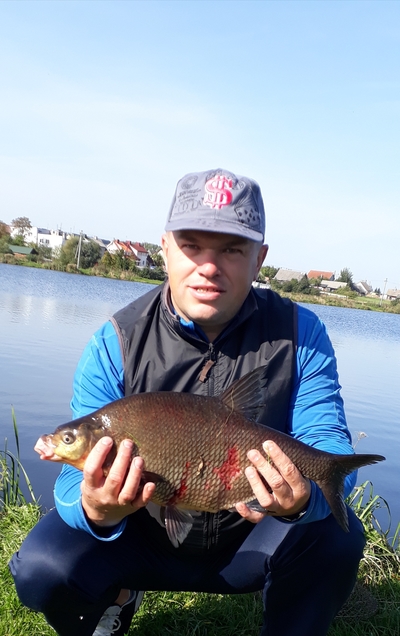 Carp bream