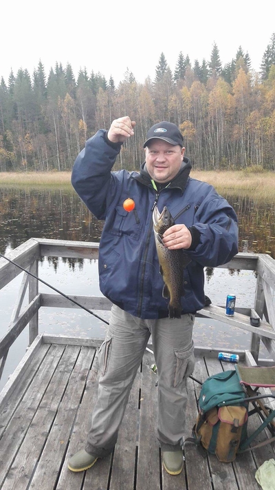 Brown Trout