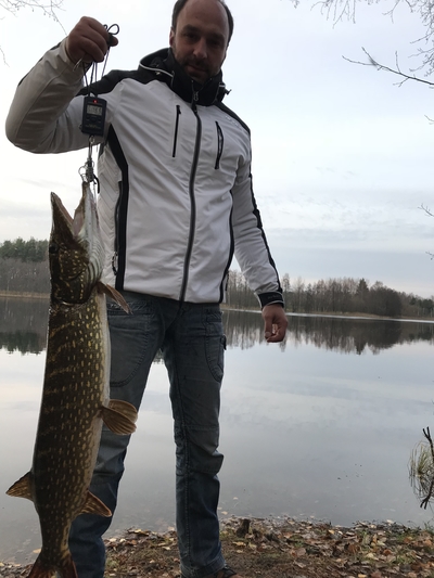 Northern Pike