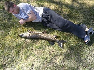 Northern Pike