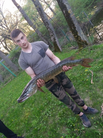 Northern Pike