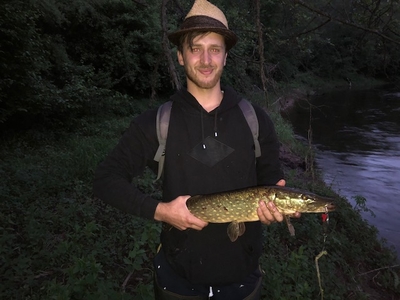Northern Pike