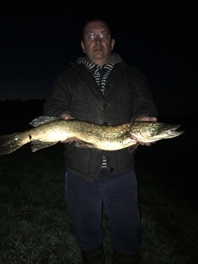 Northern Pike