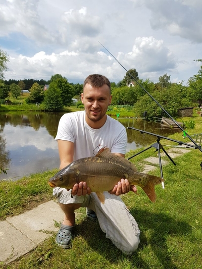 Mirror carp