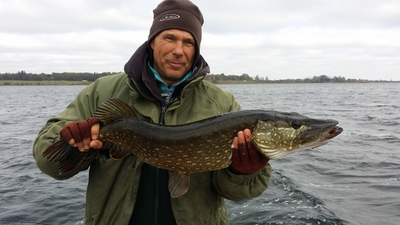 Northern Pike