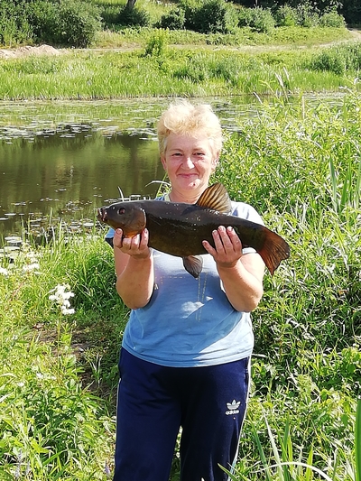 Tench