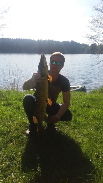Northern Pike