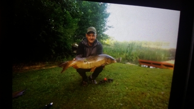 Mirror carp
