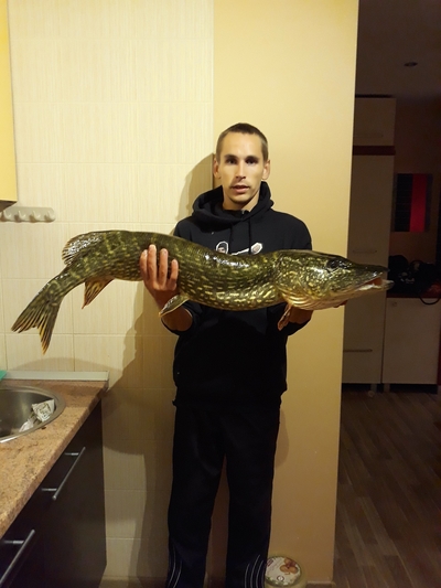 Northern Pike