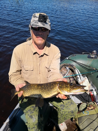 Northern Pike