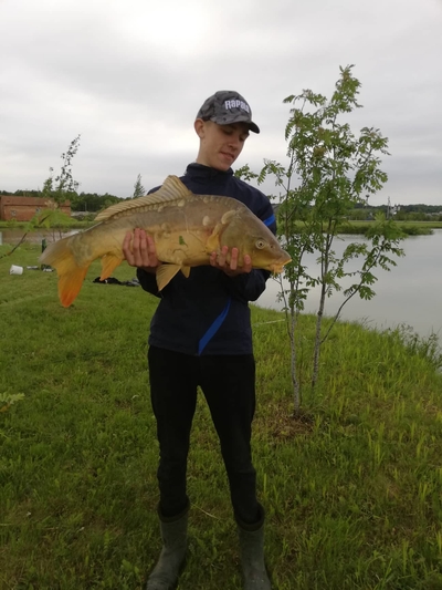 Mirror carp